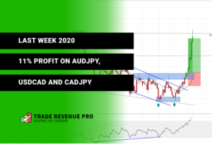 11% Profit in the Last Week of 2020 - Trade Reviews